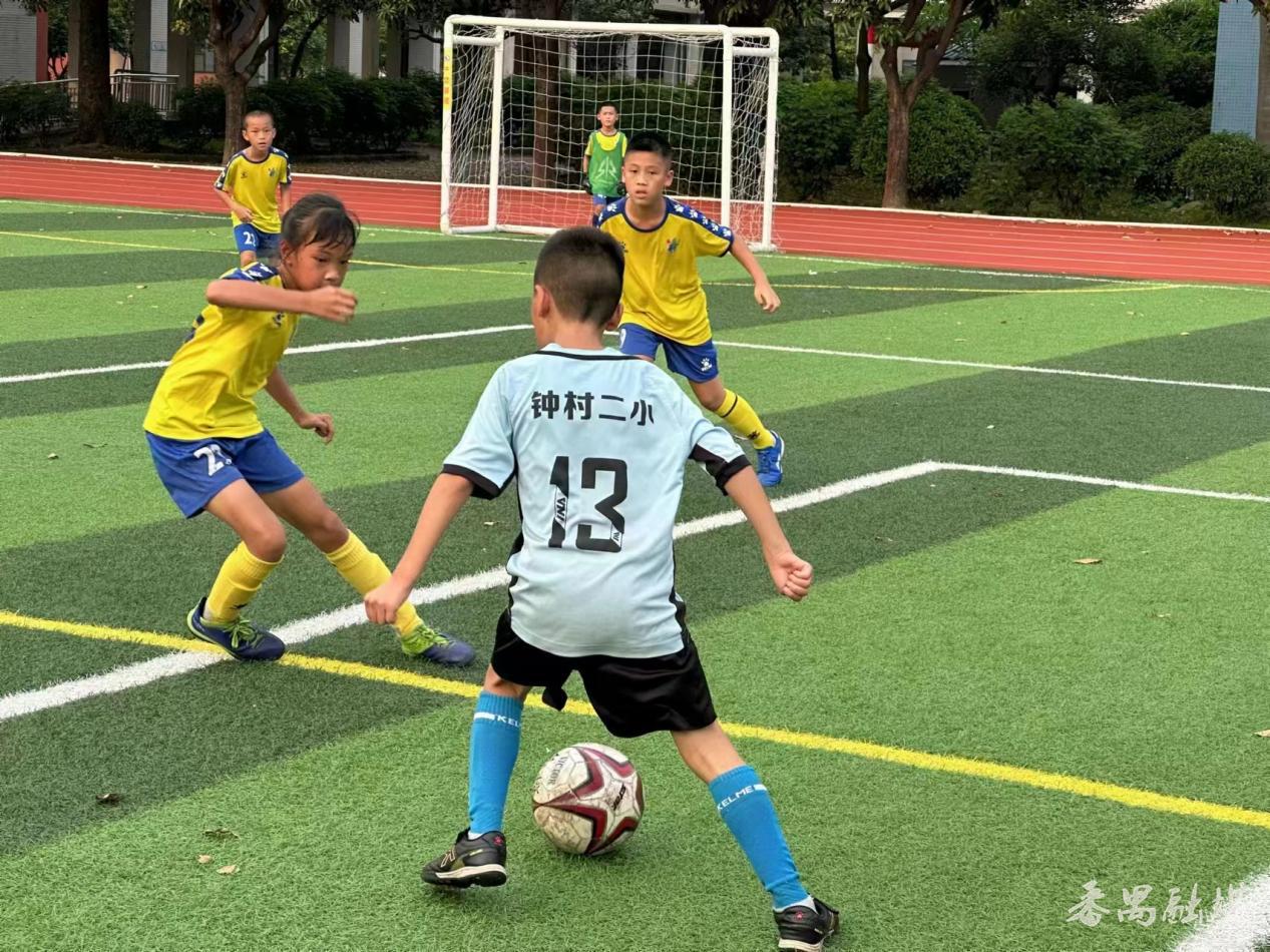 2022南山区小学校园足球联赛,2018年广州市白云区校园足球联赛