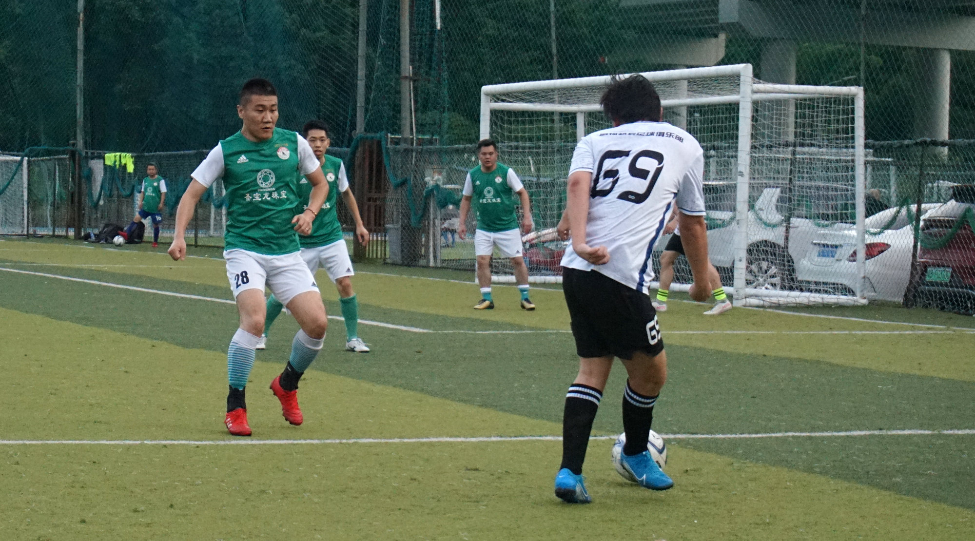 西南财大vs金强,苍狼vs老虎