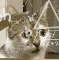 3月份笔记本电脑推荐,3月待发布的笔记本有哪些