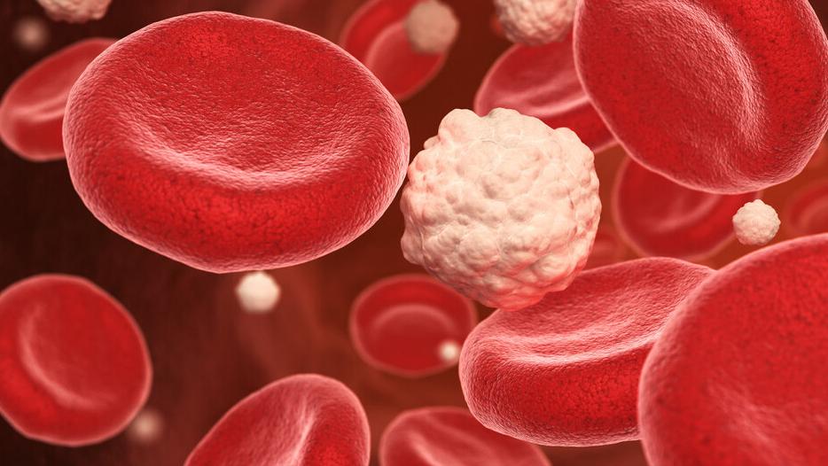 不吃米减肥会反弹吗,哪个时间段不吃米面减肥效果好