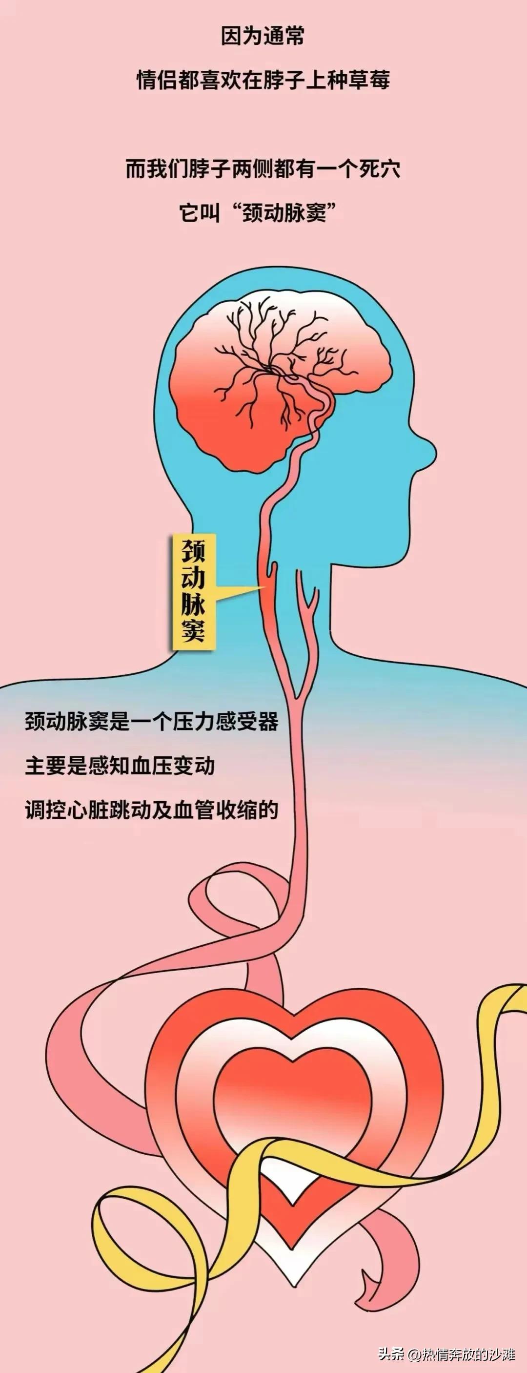 男女亲吻，身体有些部位是禁吻区，为了彼此的健康，不要轻易尝试
