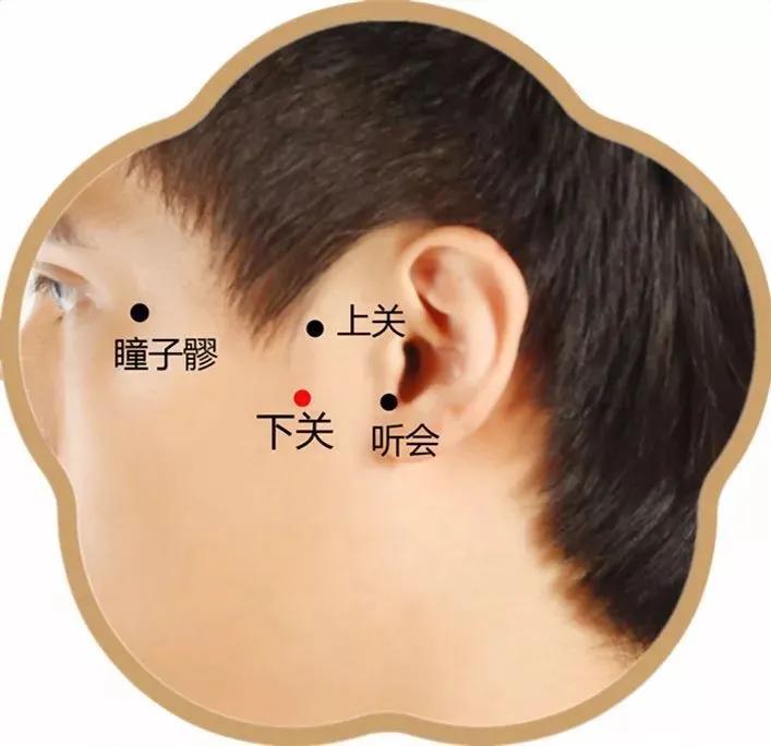 根治耳鸣的特效穴,按压下关穴能治疗耳鸣吗