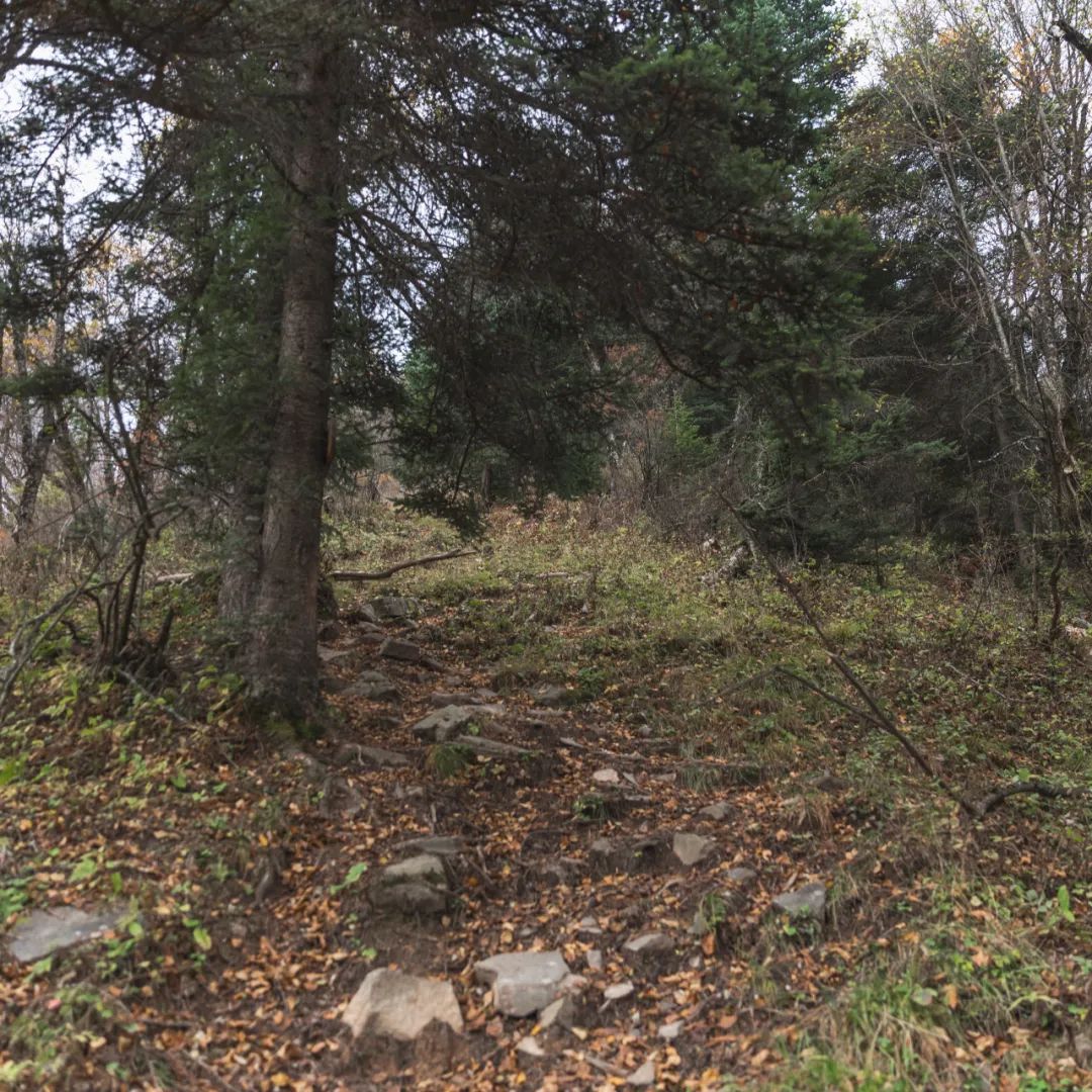 登太白山感受,太白山景区登顶拔仙台