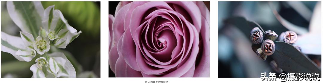 nisi近摄镜评测定焦,nisi测评