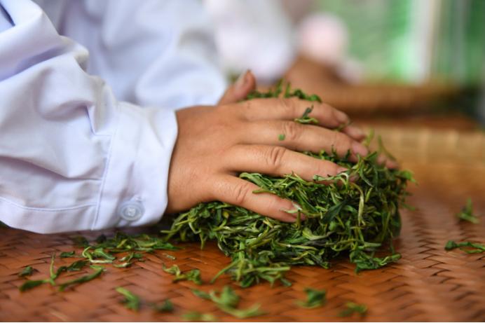 购买茶叶时不会挑选什么茶,买茶应该怎么选择茶叶类型