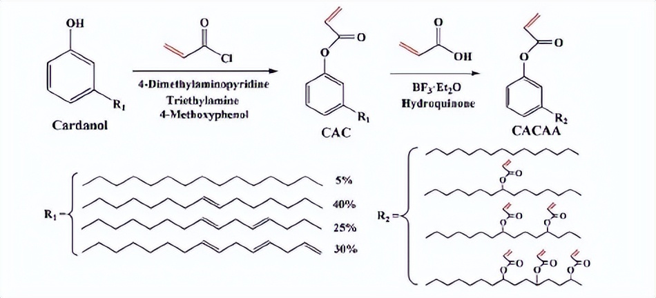 腰果酚型环氧固化剂,腰果酚固化剂的优缺点