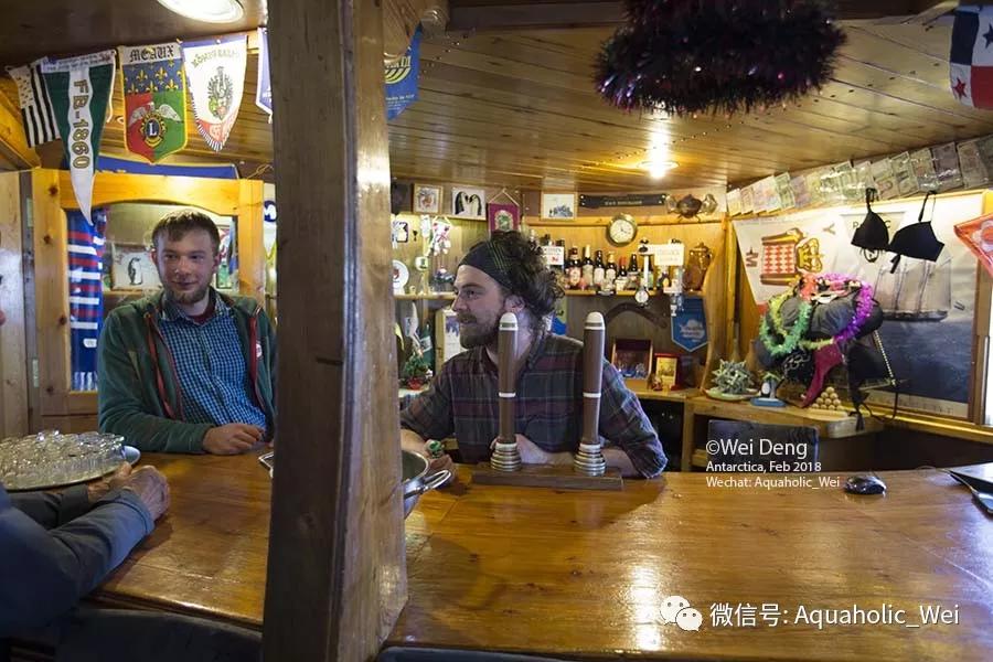 我在南极养企鹅,我在南极的日子