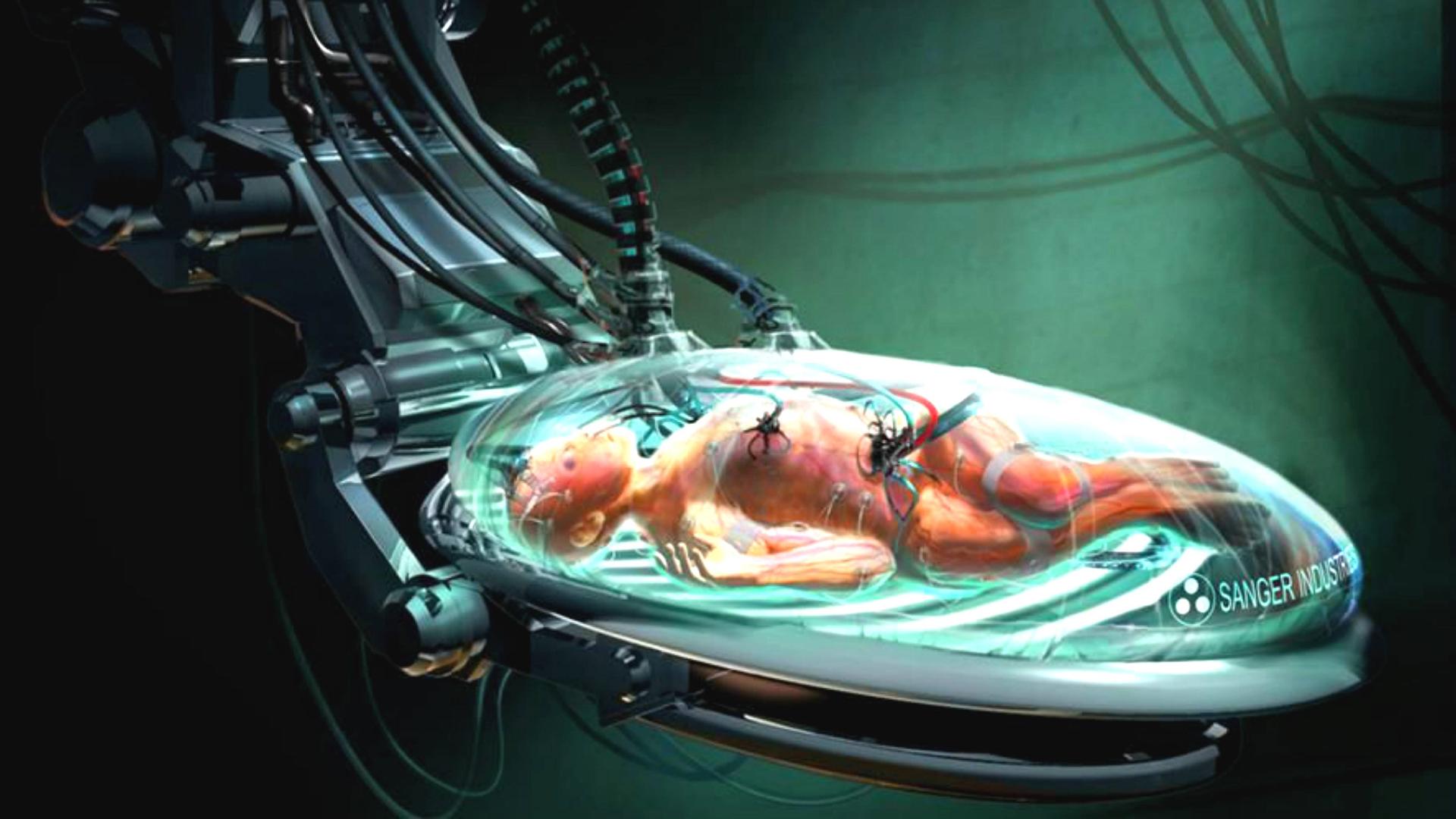 日本人动物胚胎实验长啥样,日本人动物胚胎实验