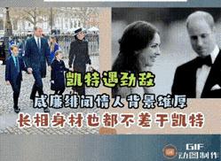 威廉王储,威廉王储的心事