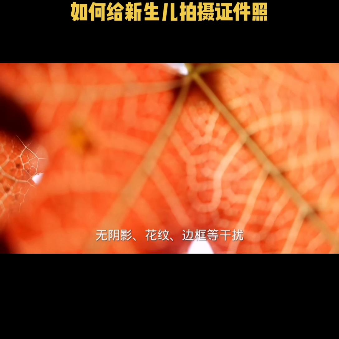 怎样拍新生儿宝宝照好看,怎样用手机拍摄一寸照和证件照