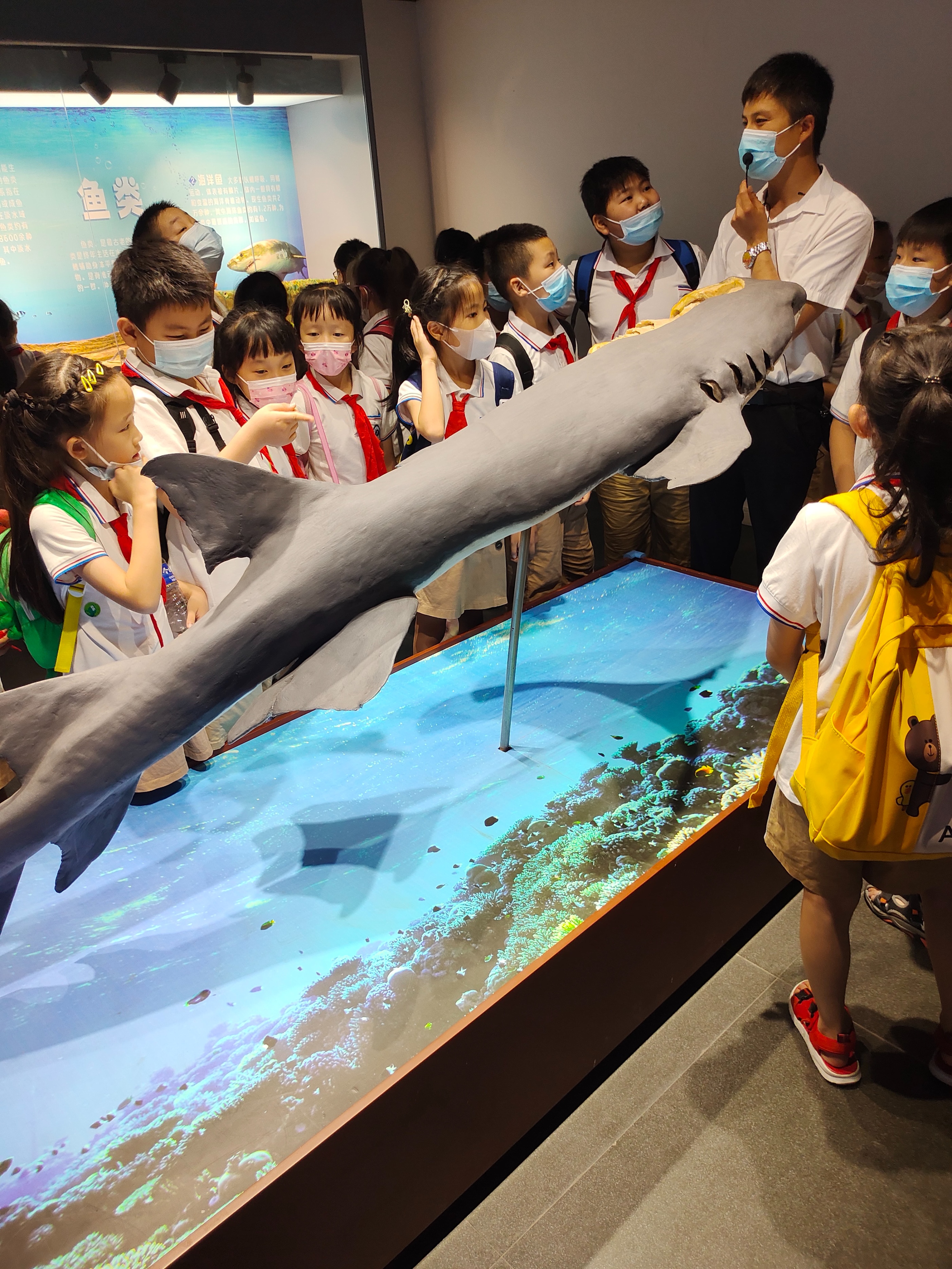 郑州周末带孩子去哪里玩比较好,郑州周末自驾游最佳去处2021