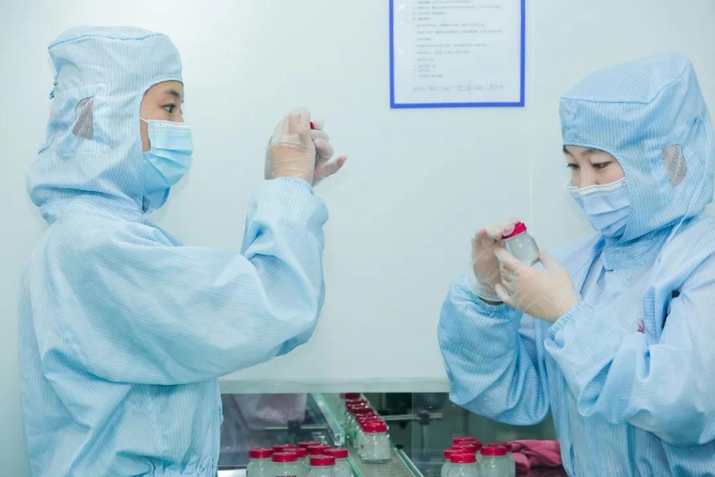 正典燕窝和蔡府燕窝哪个好啊,正典燕窝和参之源燕窝