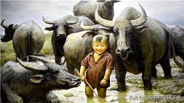 童年的记忆放牛娃,儿时放牛娃结伴回家