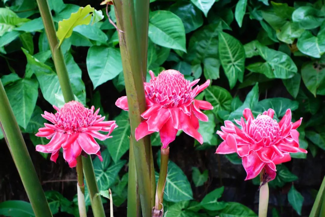 海南万宁深潜推荐,海南万宁潜水俱乐部