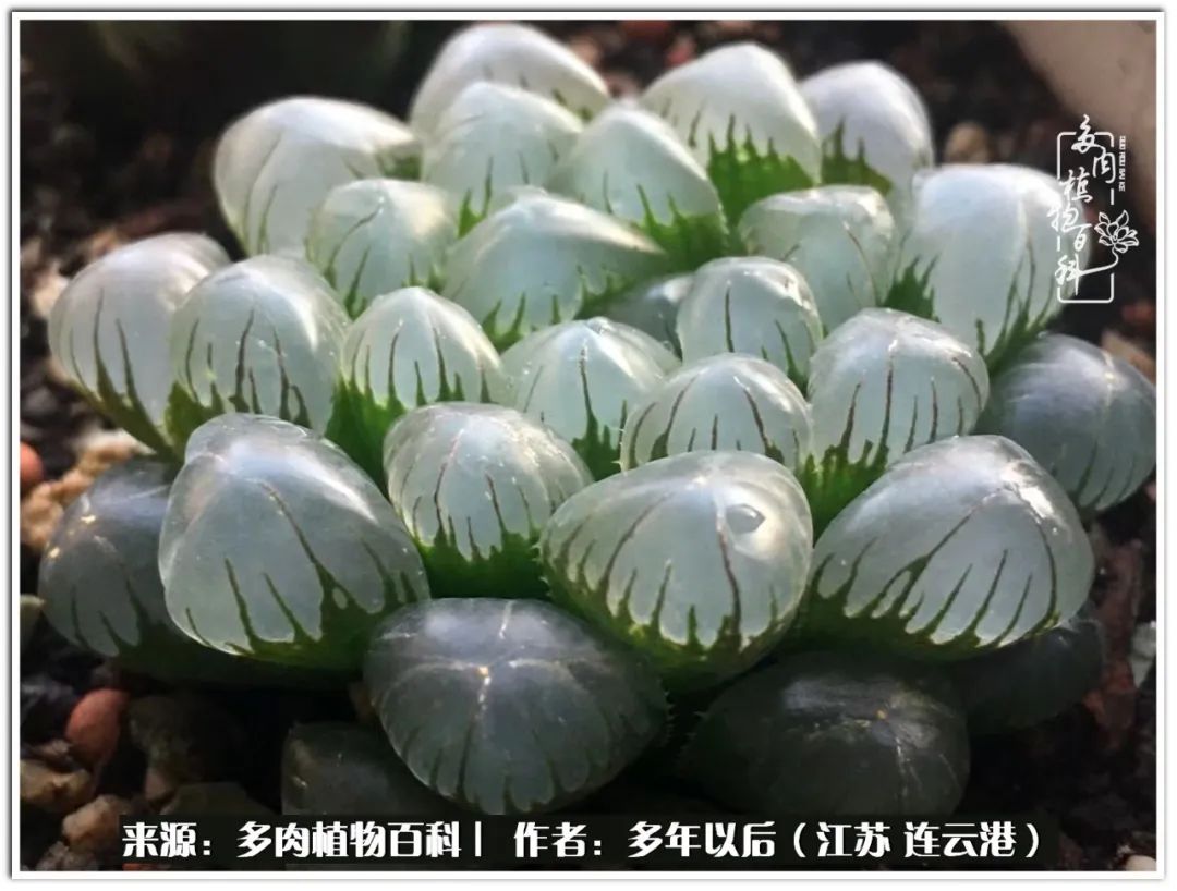 我若不弃，愿你不负我所期