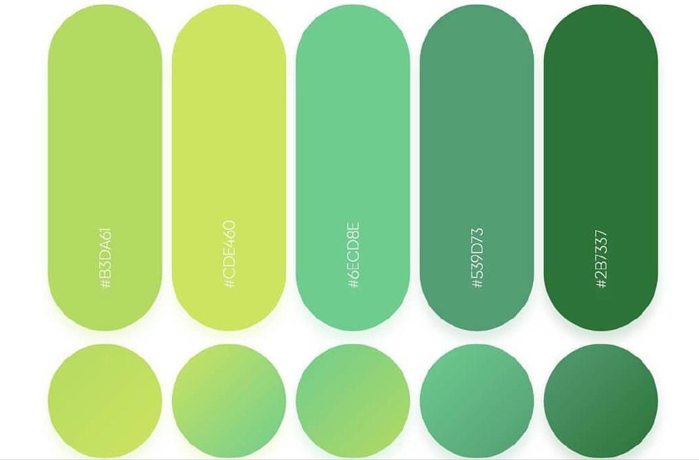 春天配色以什么色系为主,适合春天的颜色每一套都很美