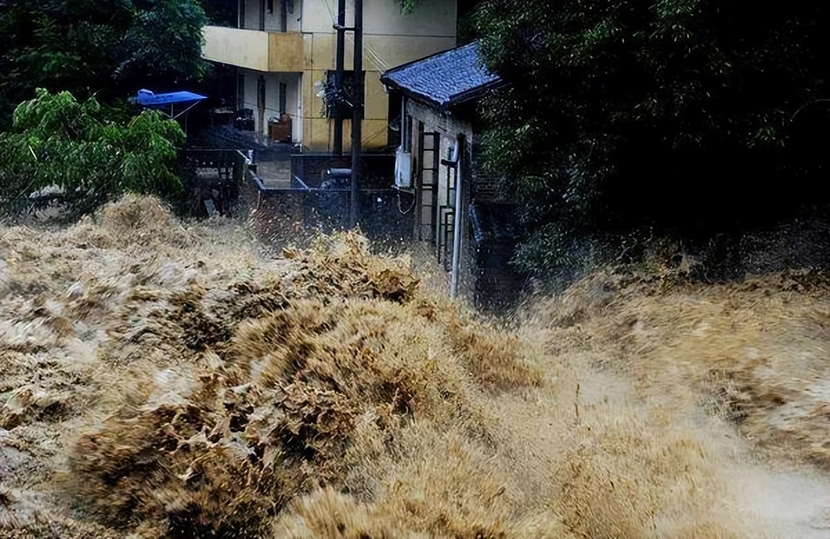 酒店客人中暑应急处理技巧,客人用餐时餐厅突然停电怎样处理