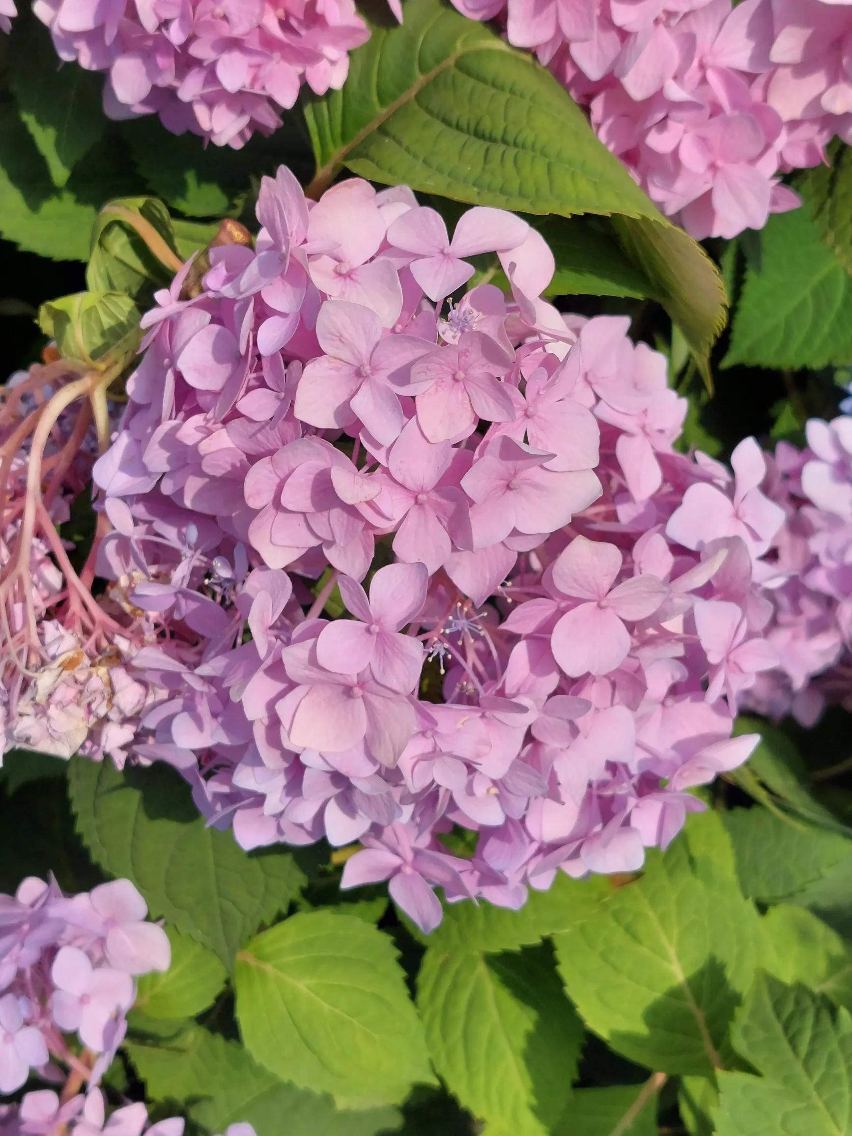 努力决定你的职业,努力是一种态度与职业无关