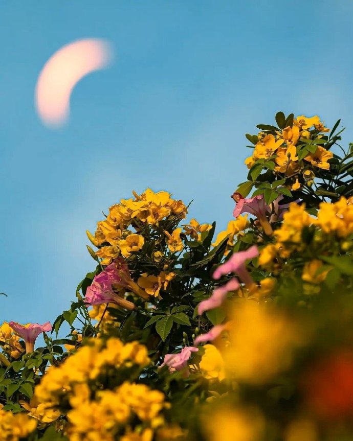 女人如此回你微信，其实，就是不爱你的一种表现