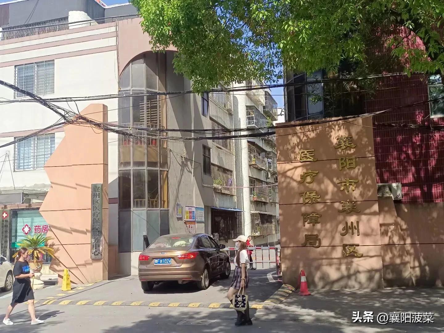 今年的新农合缴费350元含保险吗,新农合350元在哪里交