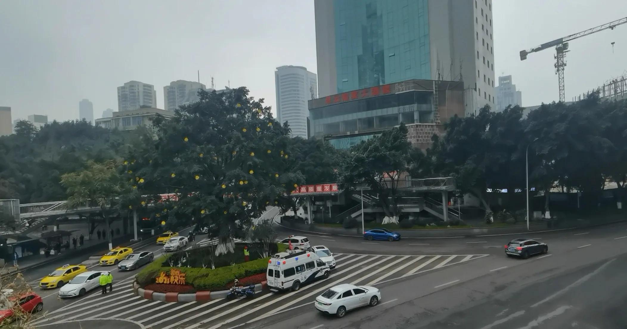 春游开拓眼界,春游樱花广场图片