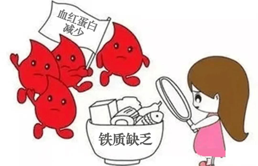 怀孕缺铁性贫血怎么办,怀孕地中海贫血怎么办
