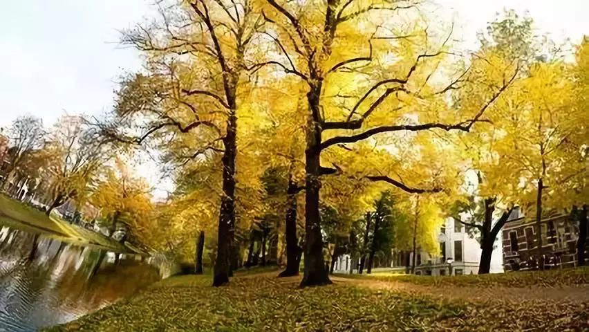 早安心语正能量经典一句话图片,2022早安心语简单一句话