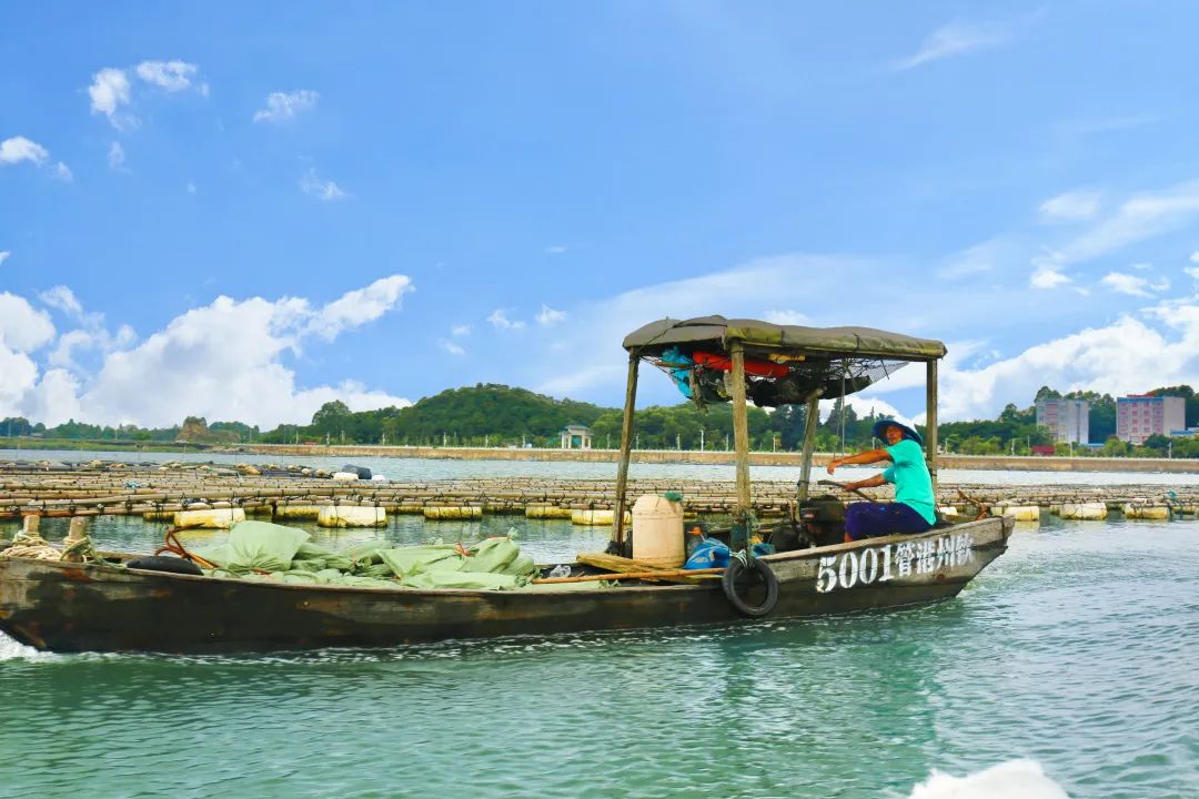 10分钟坐船能到的海岛,火山岛一日游攻略坐船