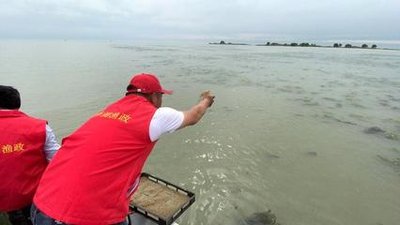 河蟹的蚤状幼体与大眼幼体的区别,河蟹育苗方法和时间