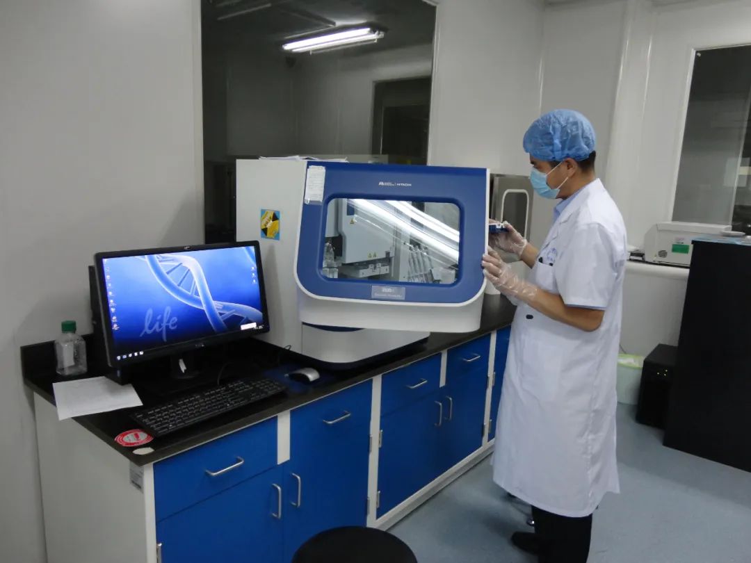 银川无创dna检测,广西dna检测