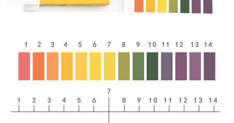 七界传说神奇奥秘,七的数字奥秘