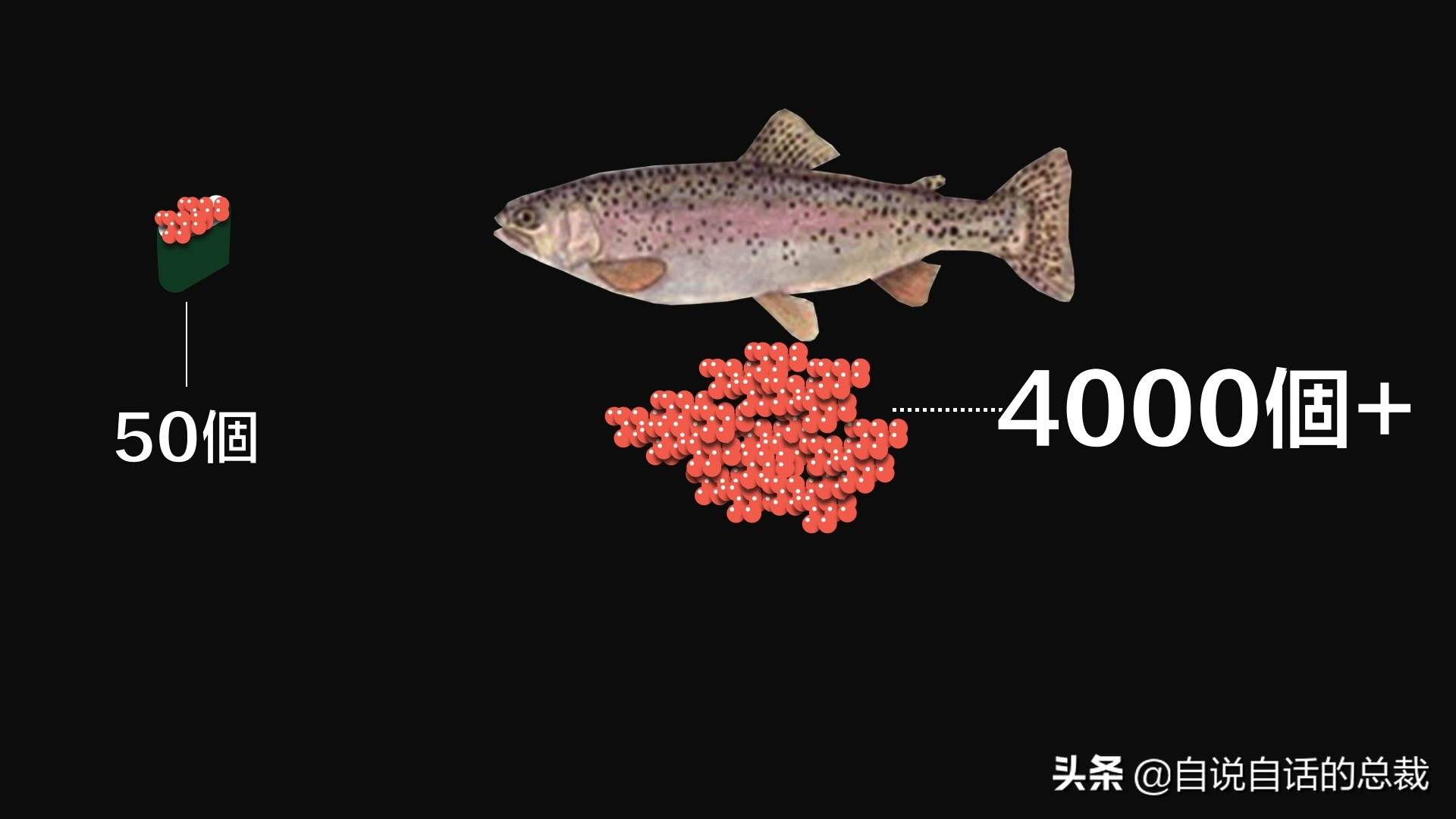 三文鱼水光真假分辨,哪种才是真正的三文鱼