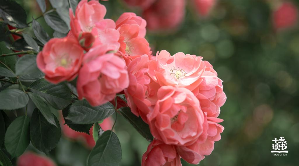 原生家庭欠你的将会困住你的一生,原生家庭欠你的人怎么找回来