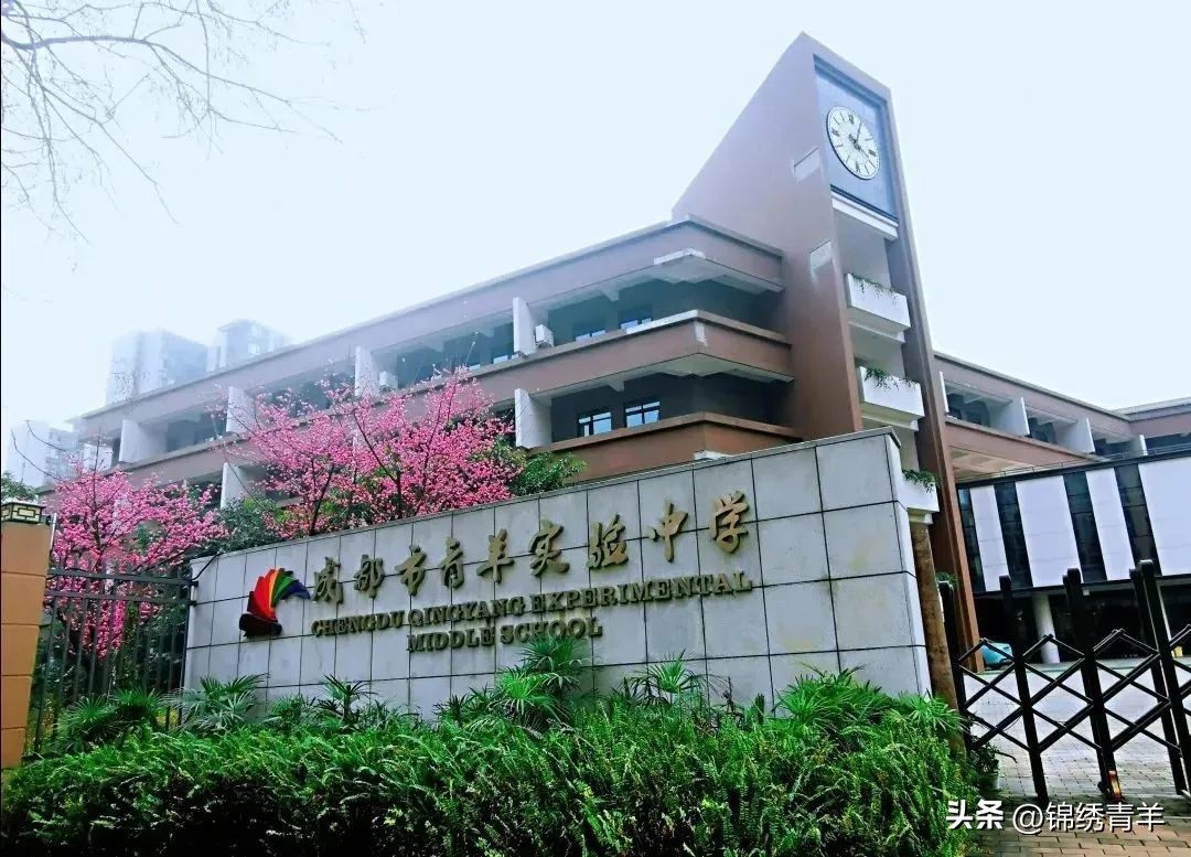 青羊区教师公开招聘,成都青羊区2021教师招聘公告