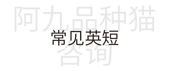 一篇文章搞懂,一篇文章让你彻底搞懂宏观