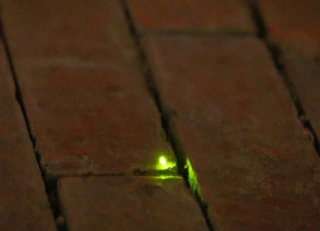 100句精辟的人生哲理的古语句子,150句经典古诗词饱含哲理意味深长