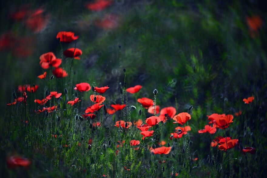 大自然的美景秋天摄影照片,美丽的大自然春夏秋冬图片大全