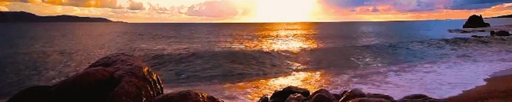 蒋雯丽颜值变化25岁到57岁,蒋雯丽年轻时也太美了