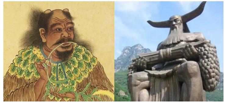 古印度文化和古北欧文化的交流,古印度文化被分化