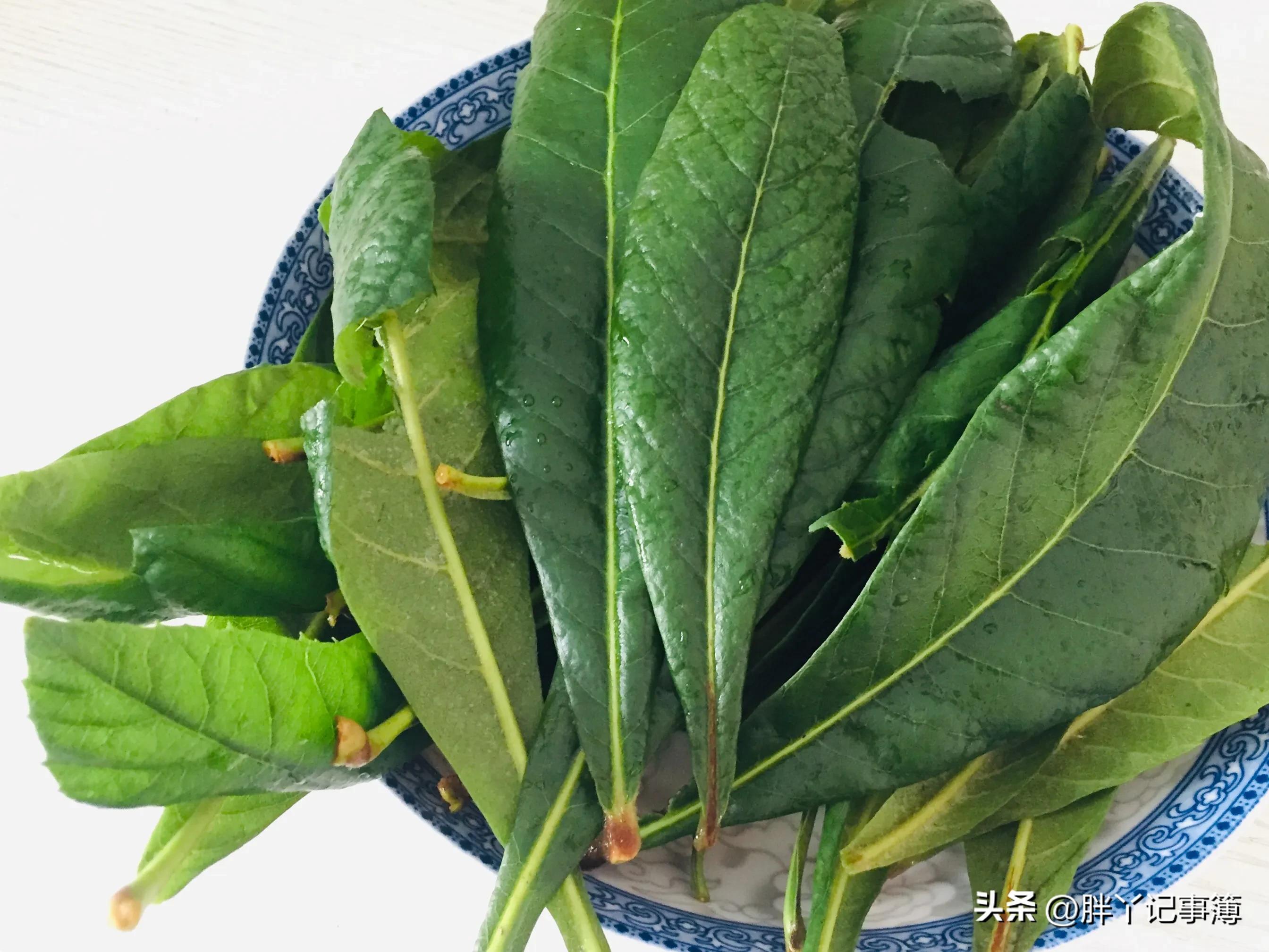 姝㈠挸绗旇,鎴戠殑鍜冲椊鏃ヨ