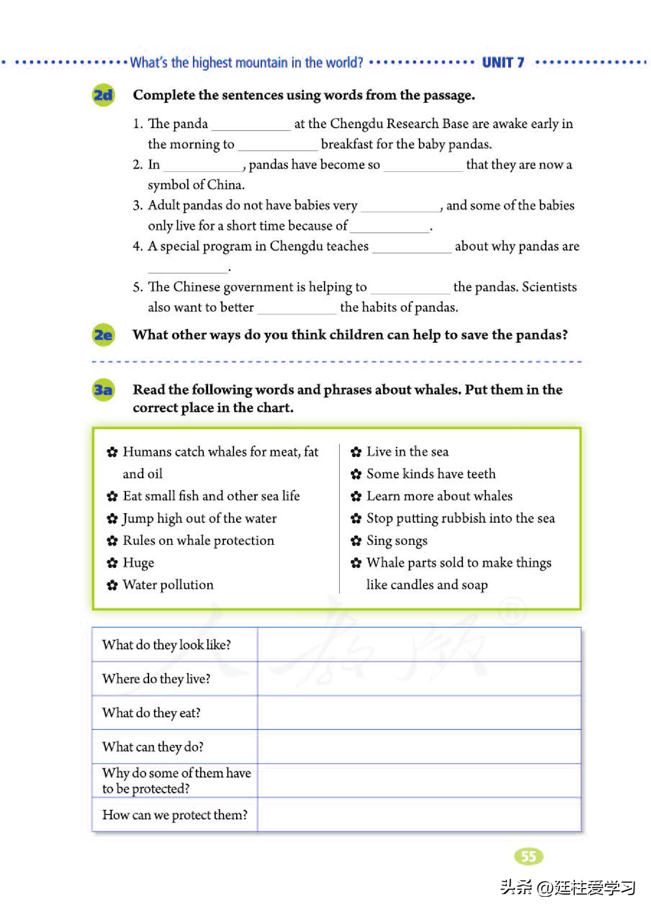 英语八年级下册电子版沪教版,英语八年级下册电子版同步练习册