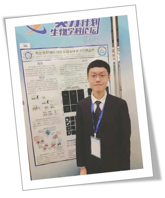 鍚堣偉濂界殑楂樹腑瀛︽牎璁茶В,甯︿綘浜嗚В瀹夊窘楂樻牎