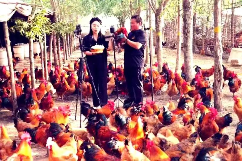 夏邑县电商发展模式,夏邑电商做得好的镇乡