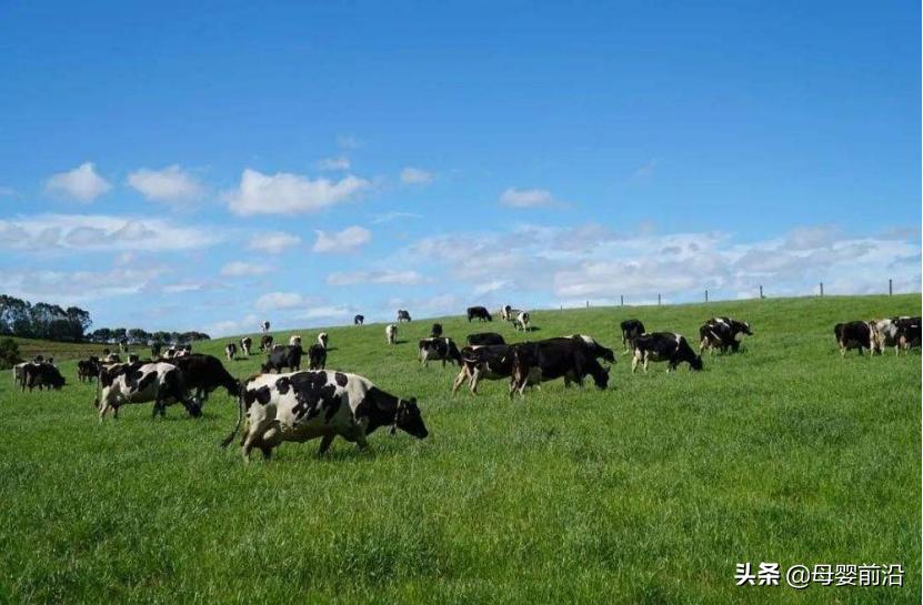 巨头联手,谁在抢婴配粉50%的市场份额