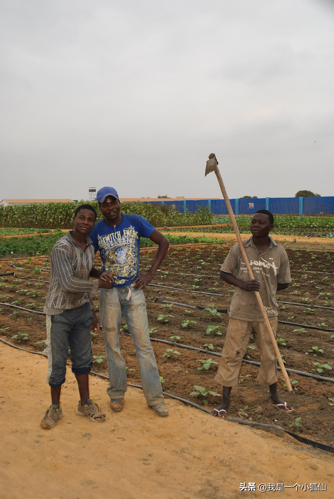 那个叫“*飞机打**”的黑人,又一次带人持枪抢了我们,并且打伤了人
