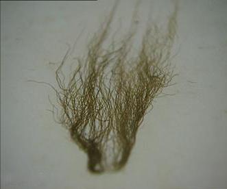 辽宁男人用18万买下了奇石,辽宁男子花5000万买下原石