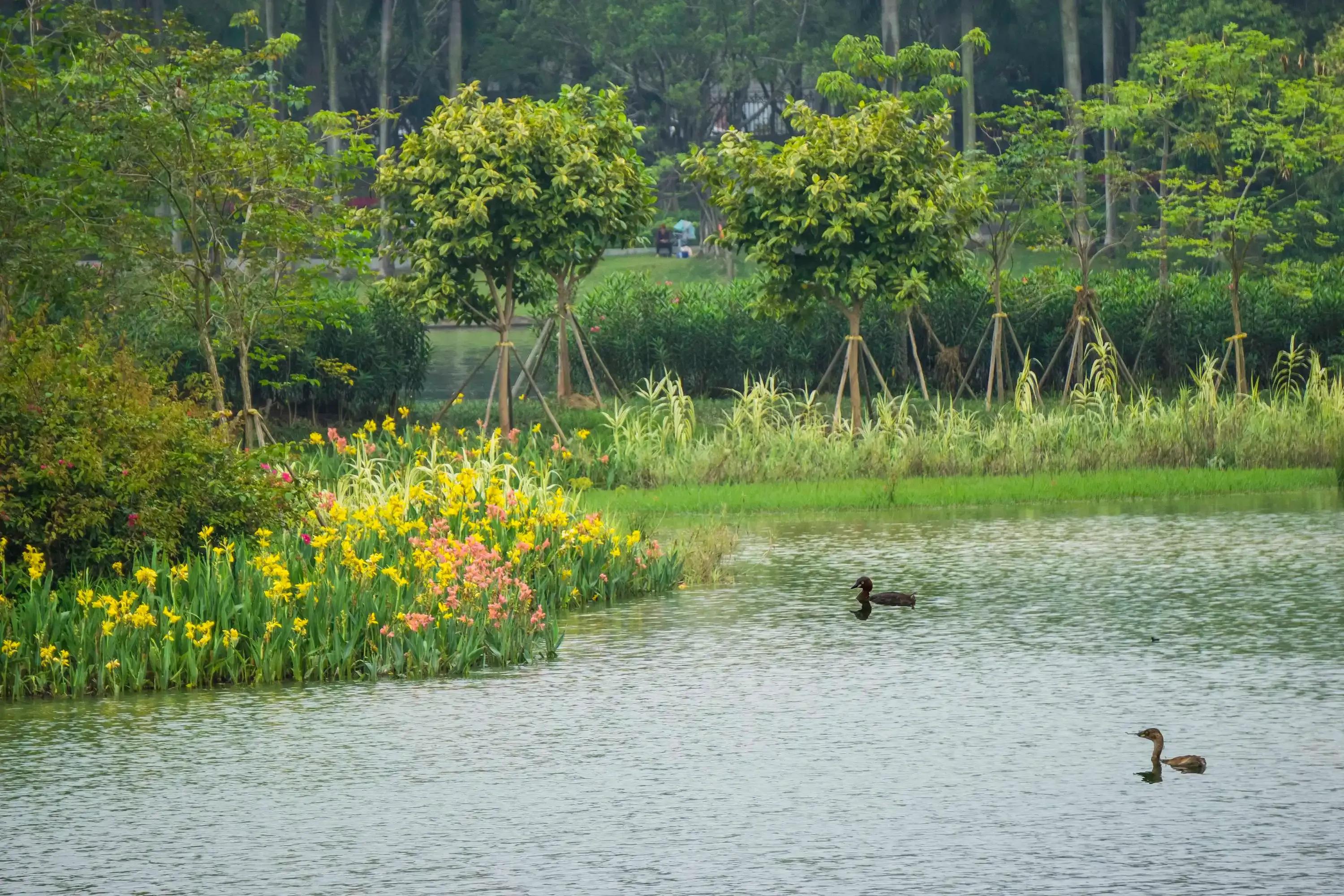古诗词中的风景,古诗词中的风景作文
