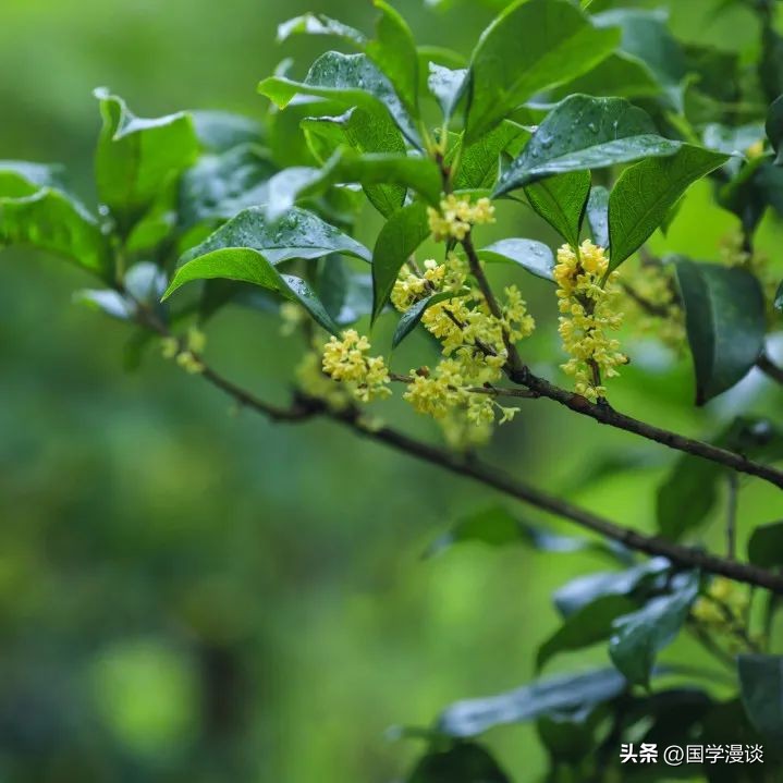「时间」的那些雅称，美极了！