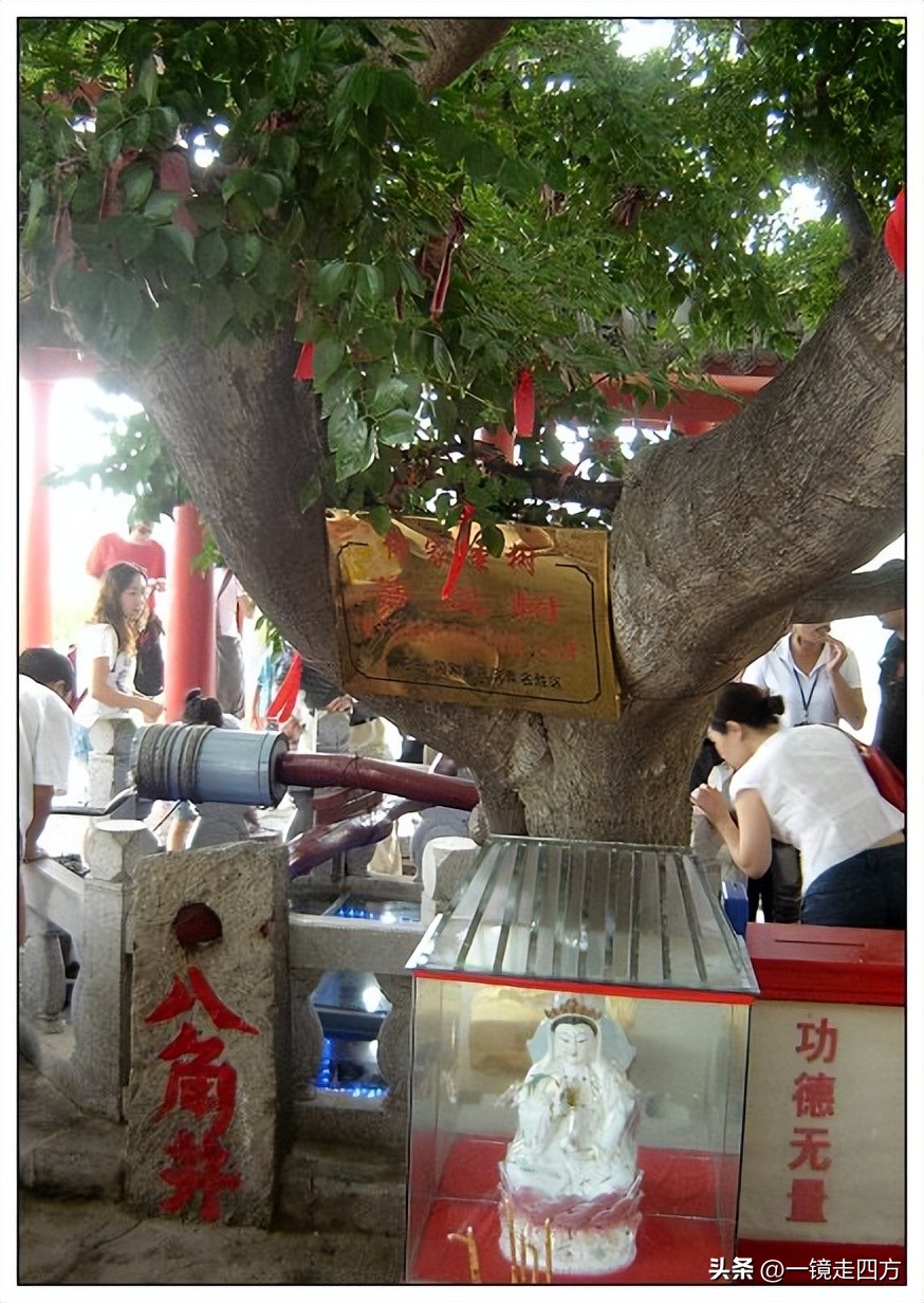 到兴城旅游,兴城怎么去菊花岛旅游