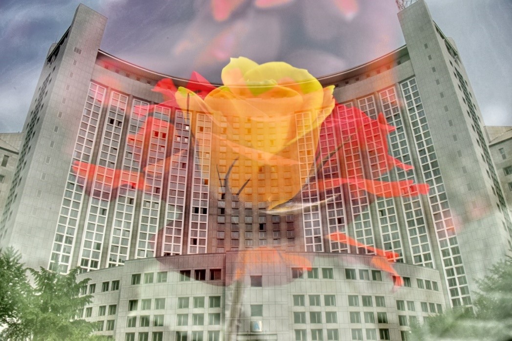 镜头记录永恒的瞬间,镜头记录美好瞬间留下美好回忆